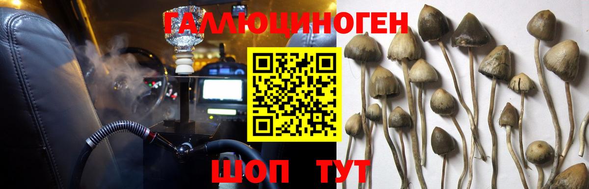 купить наркотики сайты  Вход с VPN  Камышин  Галлюциногенные грибы ЛСД 